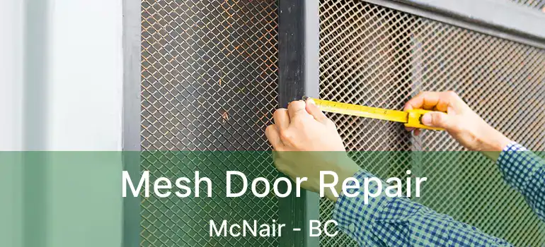  Mesh Door Repair McNair - BC