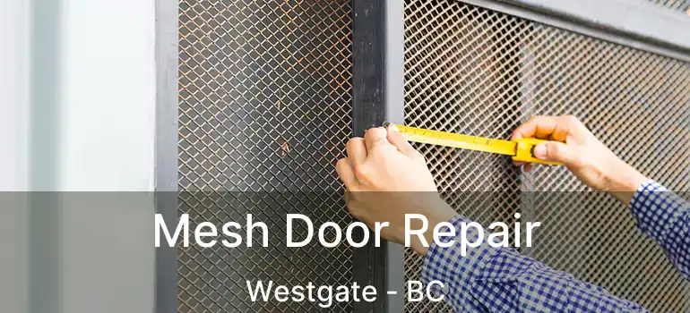  Mesh Door Repair Westgate - BC