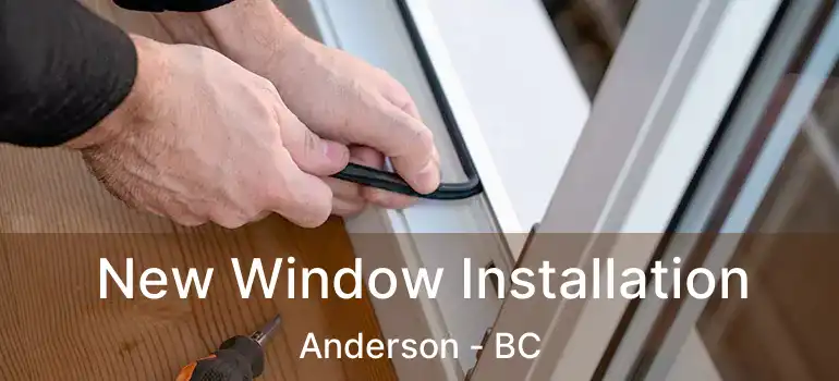  New Window Installation Anderson - BC