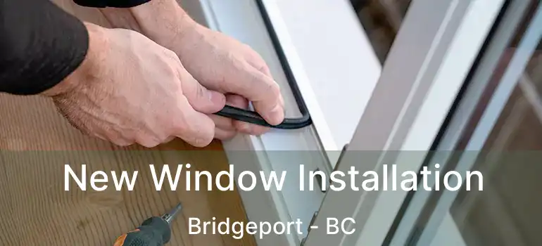  New Window Installation Bridgeport - BC