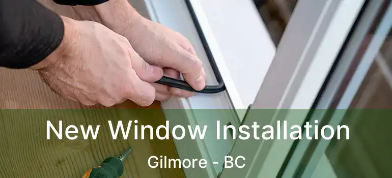  New Window Installation Gilmore - BC
