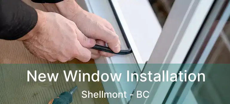  New Window Installation Shellmont - BC