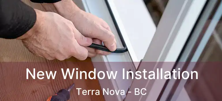  New Window Installation Terra Nova - BC
