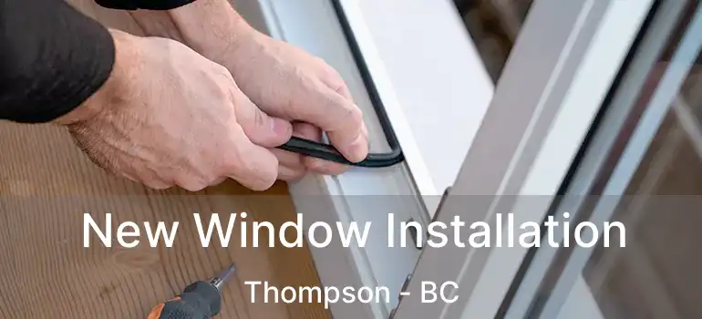  New Window Installation Thompson - BC