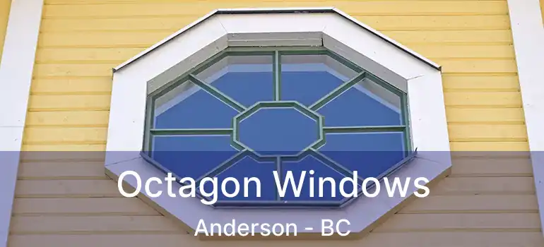  Octagon Windows Anderson - BC