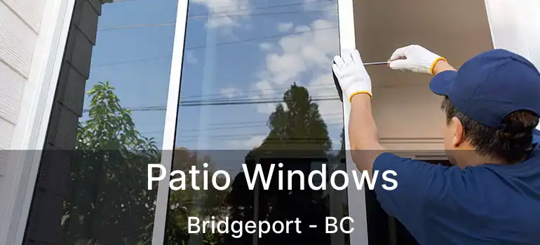  Patio Windows Bridgeport - BC