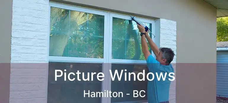  Picture Windows Hamilton - BC