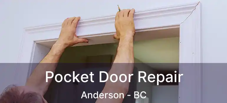  Pocket Door Repair Anderson - BC