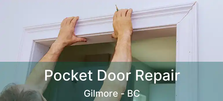  Pocket Door Repair Gilmore - BC