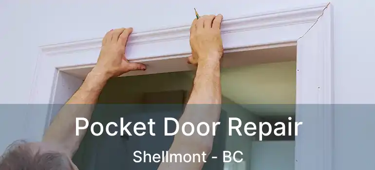  Pocket Door Repair Shellmont - BC