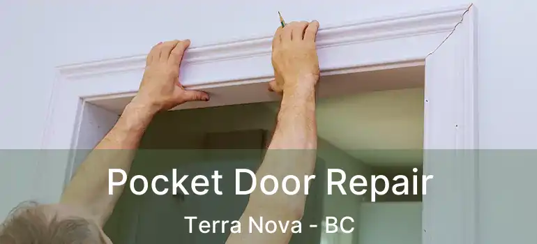  Pocket Door Repair Terra Nova - BC