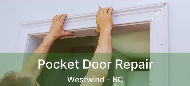  Pocket Door Repair Westwind - BC