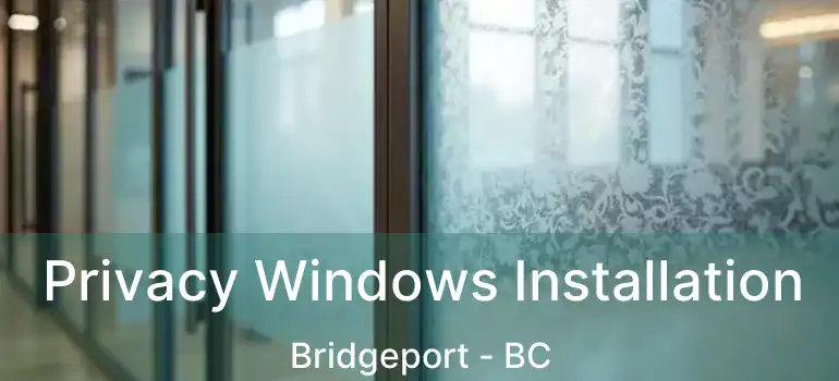  Privacy Windows Installation Bridgeport - BC