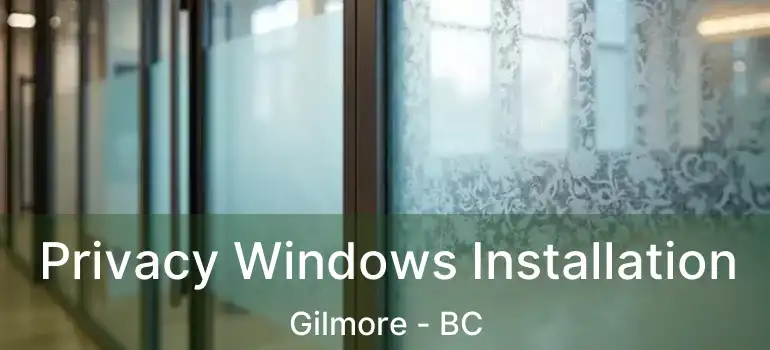  Privacy Windows Installation Gilmore - BC