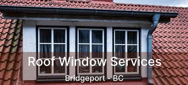  Roof Window Services Bridgeport - BC