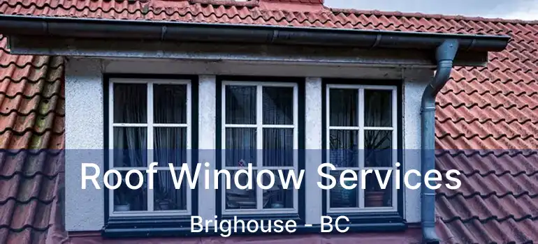  Roof Window Services Brighouse - BC