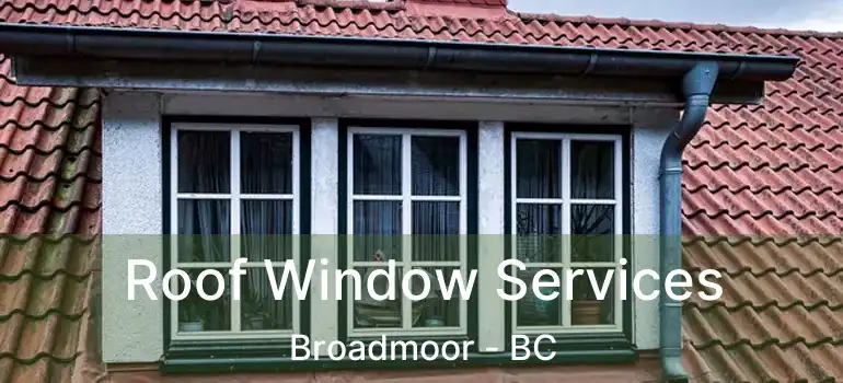  Roof Window Services Broadmoor - BC
