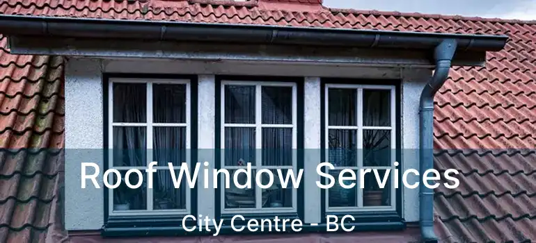  Roof Window Services City Centre - BC