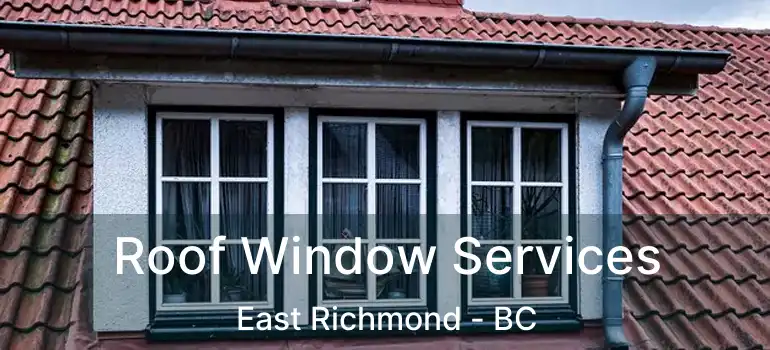  Roof Window Services East Richmond - BC