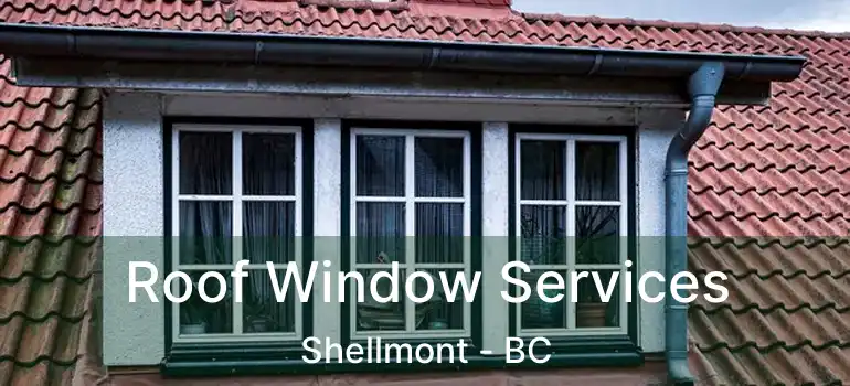  Roof Window Services Shellmont - BC