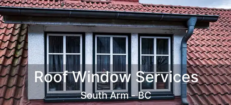  Roof Window Services South Arm - BC