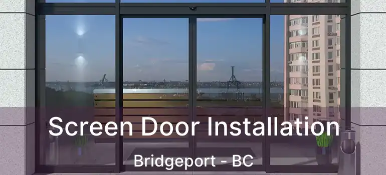  Screen Door Installation Bridgeport - BC