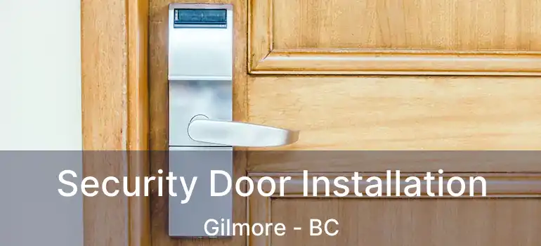  Security Door Installation Gilmore - BC