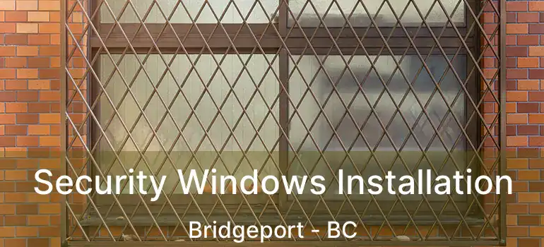  Security Windows Installation Bridgeport - BC