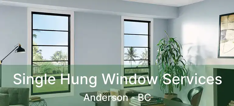  Single Hung Window Services Anderson - BC