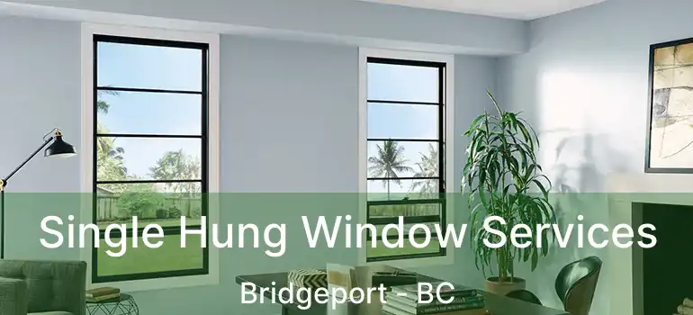 Single Hung Window Services Bridgeport - BC