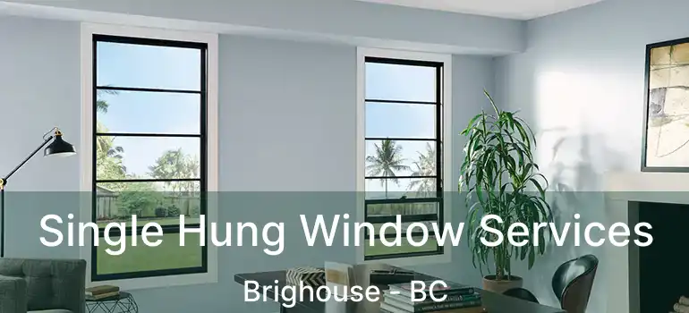  Single Hung Window Services Brighouse - BC