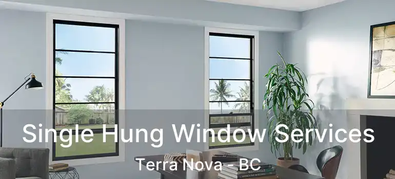  Single Hung Window Services Terra Nova - BC