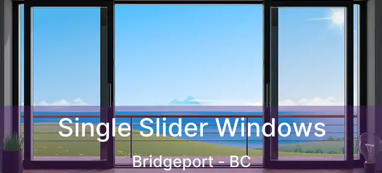  Single Slider Windows Bridgeport - BC
