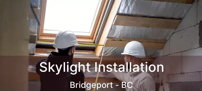  Skylight Installation Bridgeport - BC