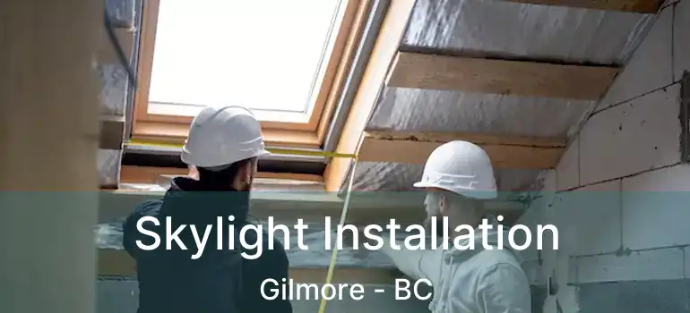  Skylight Installation Gilmore - BC