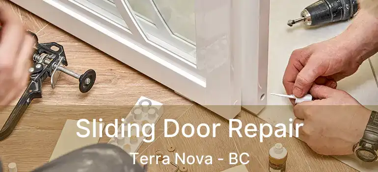  Sliding Door Repair Terra Nova - BC