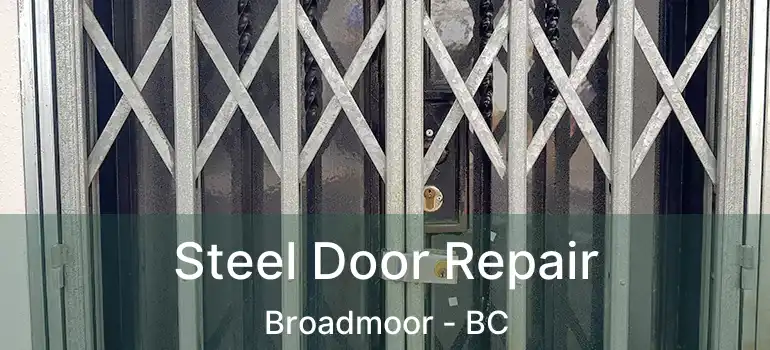  Steel Door Repair Broadmoor - BC