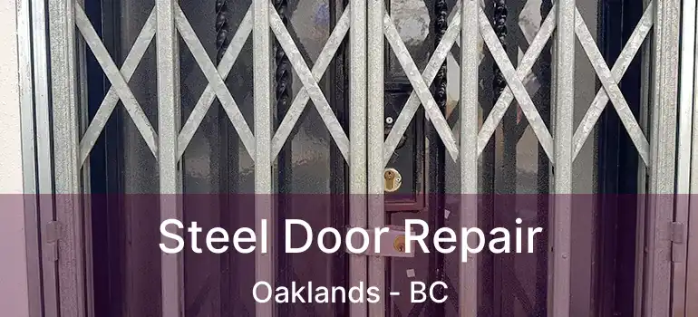  Steel Door Repair Oaklands - BC