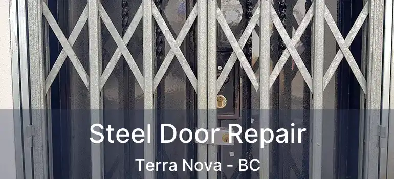  Steel Door Repair Terra Nova - BC