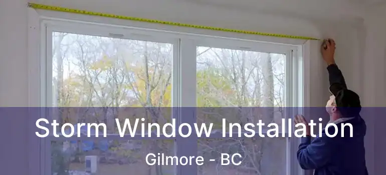  Storm Window Installation Gilmore - BC