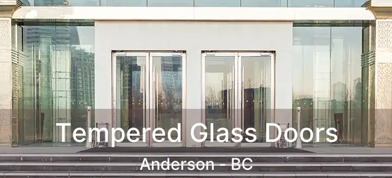  Tempered Glass Doors Anderson - BC