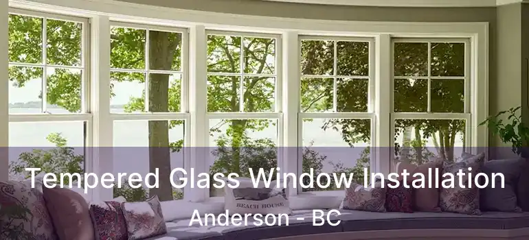  Tempered Glass Window Installation Anderson - BC