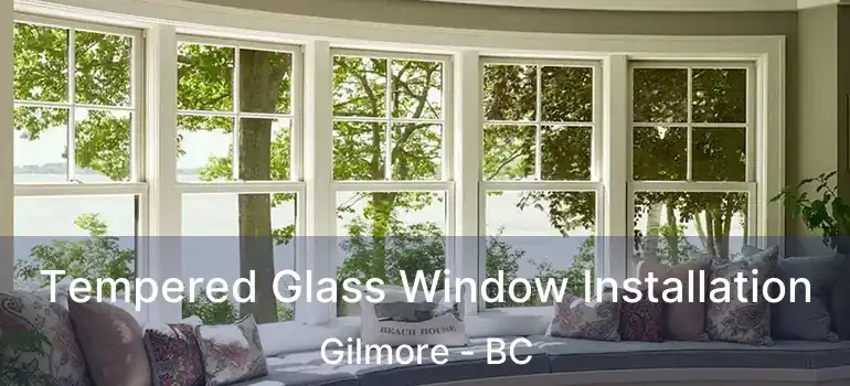  Tempered Glass Window Installation Gilmore - BC