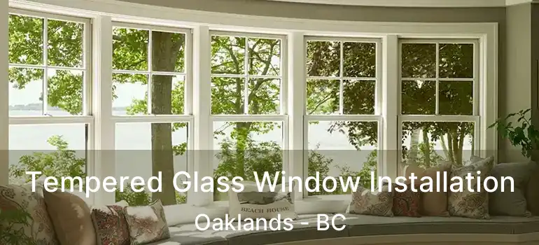  Tempered Glass Window Installation Oaklands - BC
