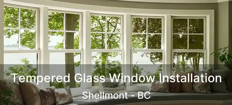  Tempered Glass Window Installation Shellmont - BC