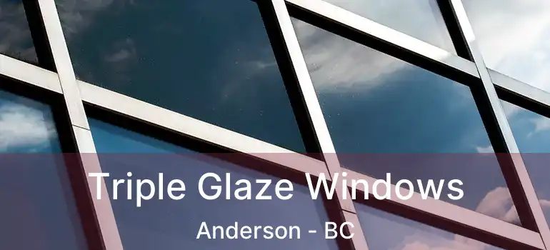  Triple Glaze Windows Anderson - BC