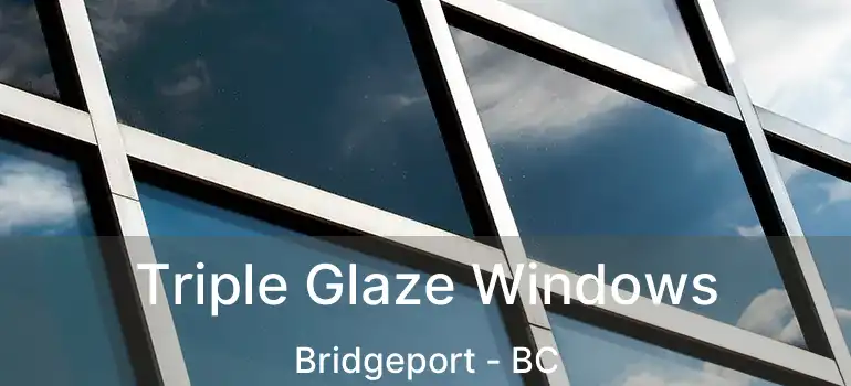  Triple Glaze Windows Bridgeport - BC