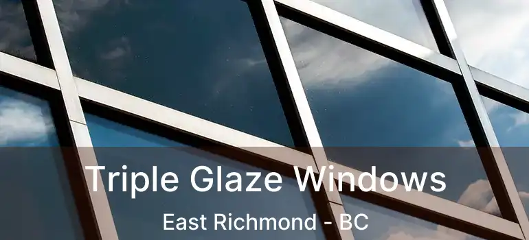  Triple Glaze Windows East Richmond - BC