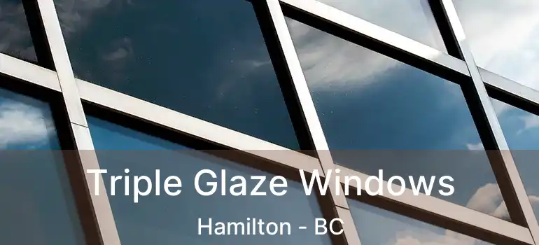  Triple Glaze Windows Hamilton - BC
