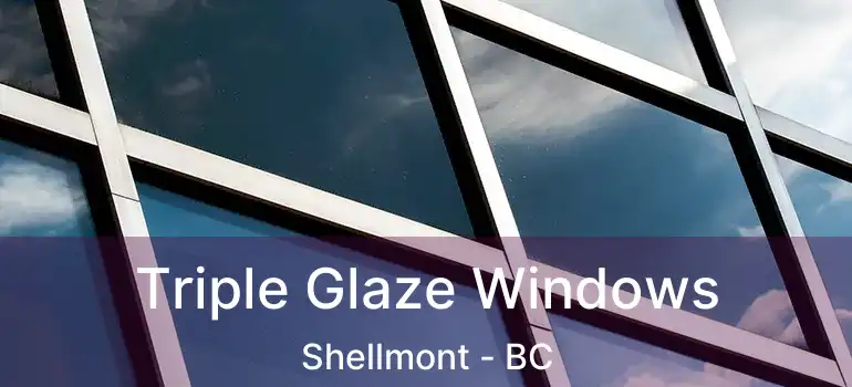  Triple Glaze Windows Shellmont - BC